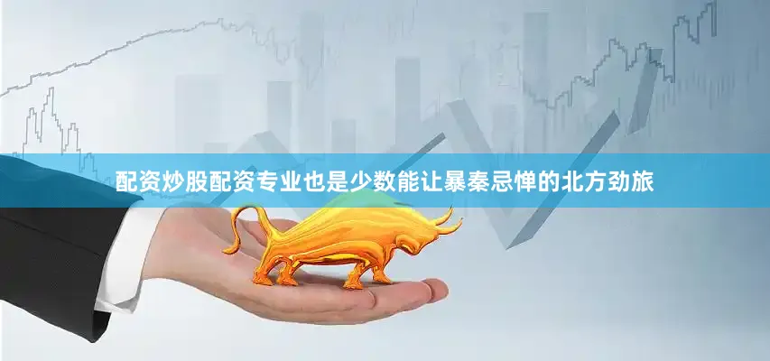 配资炒股配资专业也是少数能让暴秦忌惮的北方劲旅