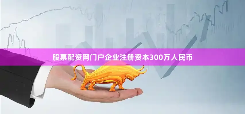 股票配资网门户企业注册资本300万人民币