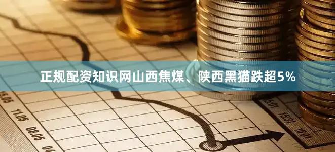 正规配资知识网山西焦煤、陕西黑猫跌超5%