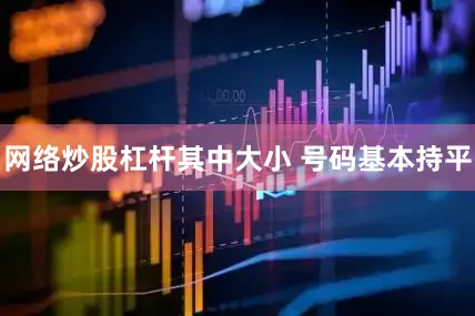 网络炒股杠杆其中大小 号码基本持平