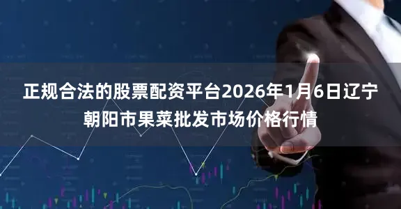 正规合法的股票配资平台2026年1月6日辽宁朝阳市果菜批发市场价格行情
