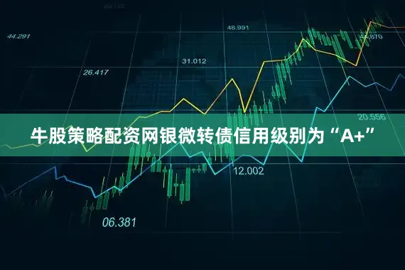 牛股策略配资网银微转债信用级别为“A+”
